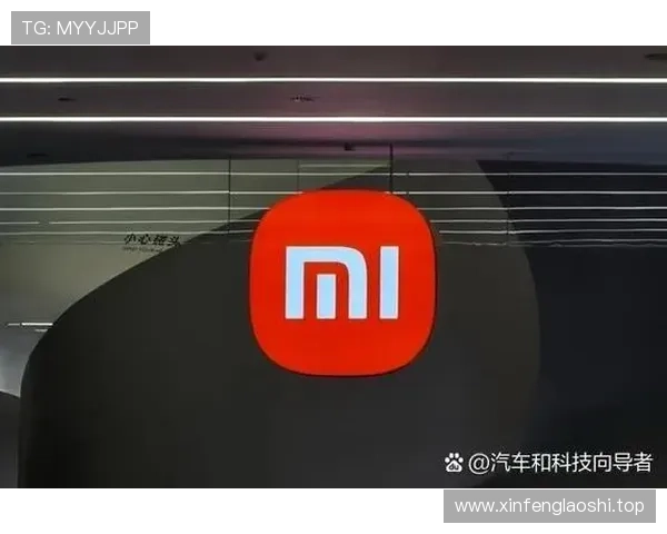 梅德辉：从创业之路到商业帝国的崛起与影响力解析