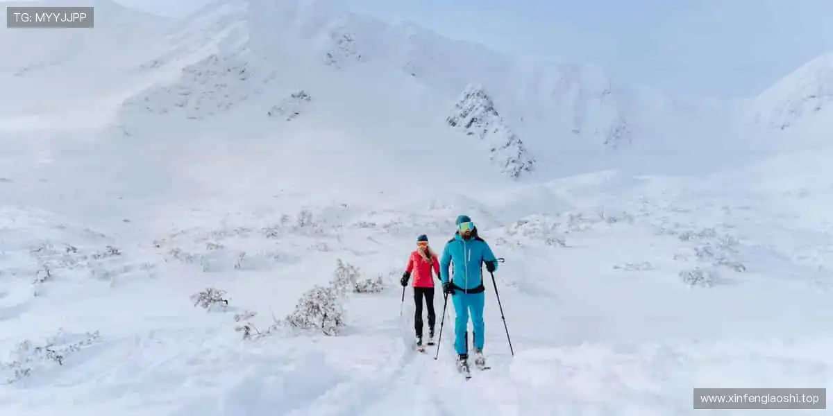 📺 实时直击，让热爱零距离！